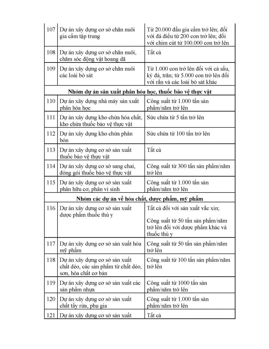 Báo cáo đánh giá DTM